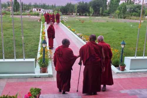 TREKKING IN LADAKH | CHANGTANG 2017